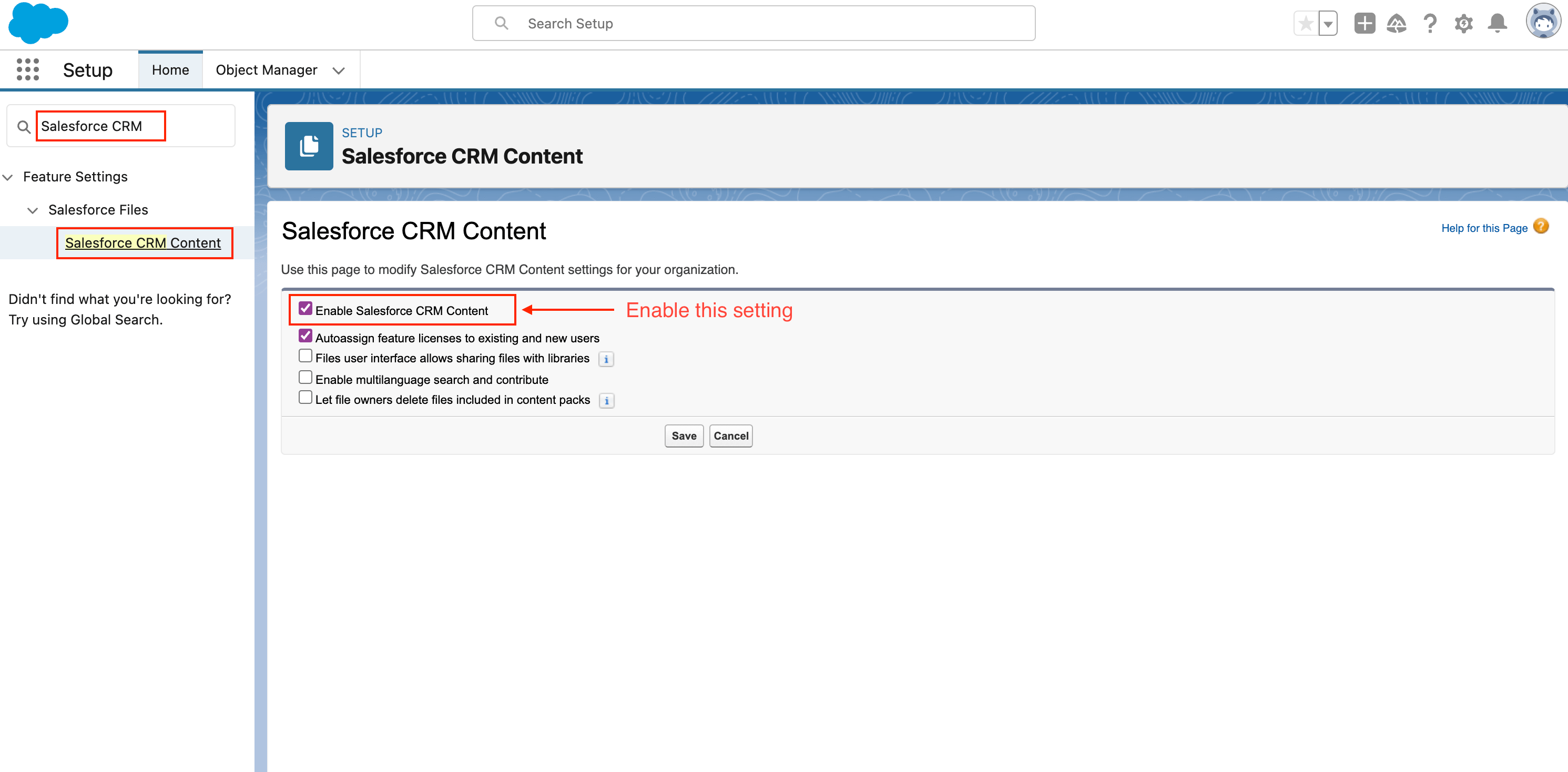 Salesforce CRM Enable