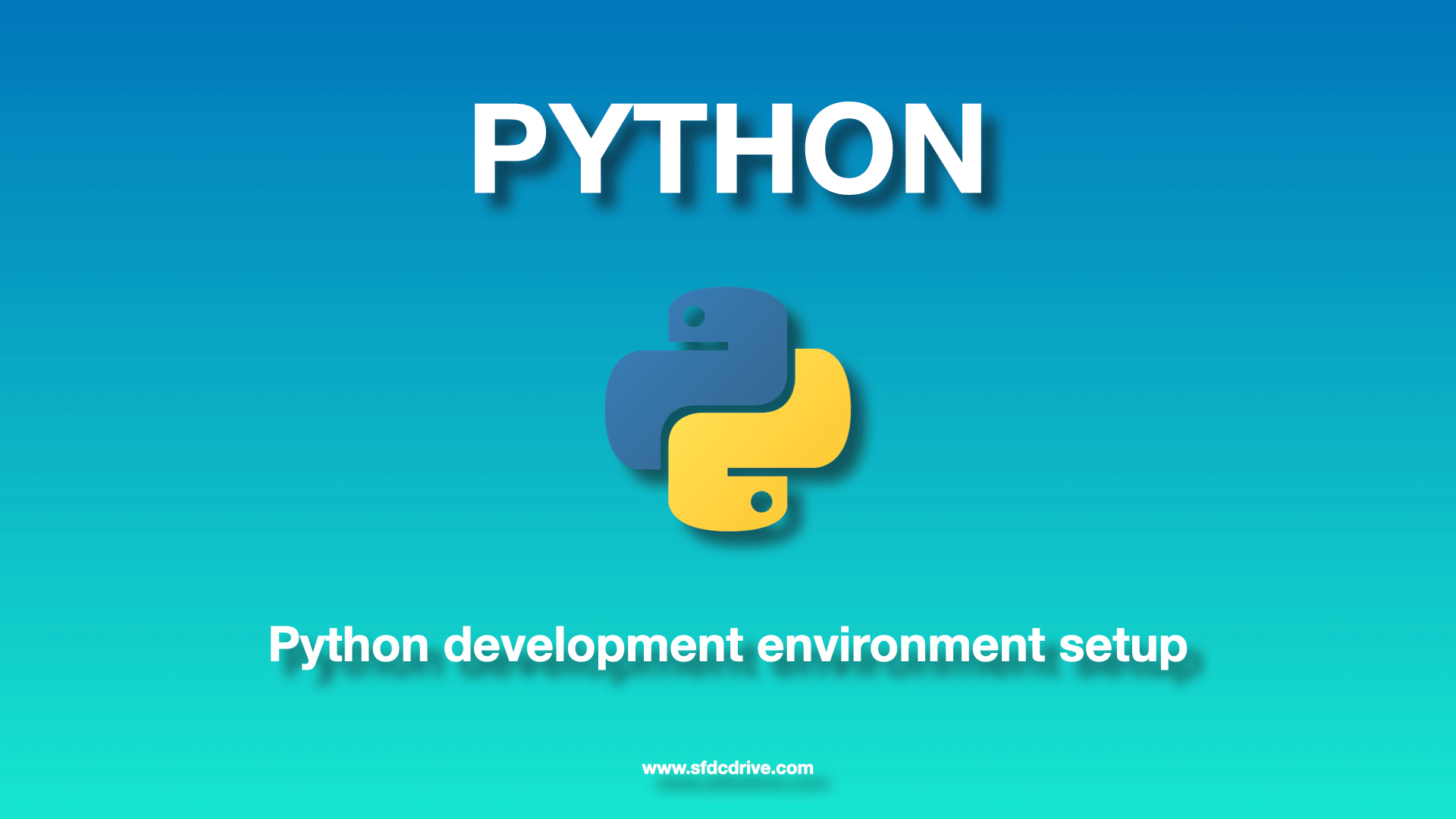 Python development